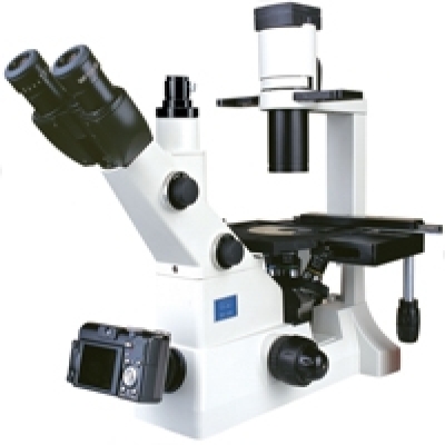 Inverted Biological Microscope  XD-202