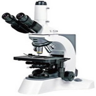 Laboratory Biological Microscope N-800M