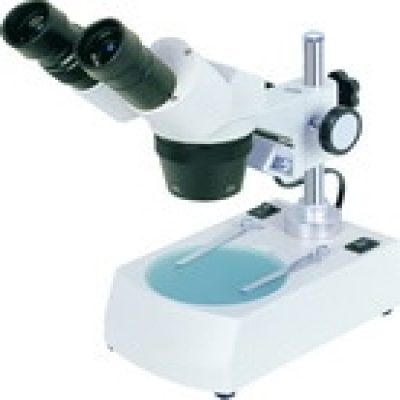 Stereo Microscope NTX Series