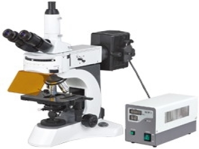 Fluroscent Microscope N-800F(LED)/N-300F(LED)